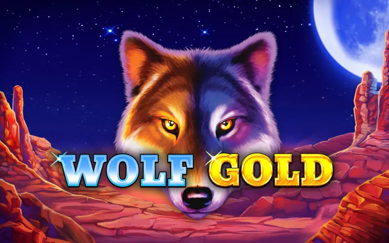 Win jackpots in Wolf Gold at 1xBet.